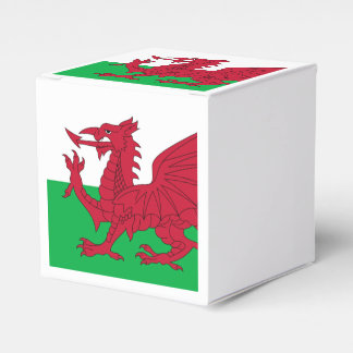 Welsh Dragon ~ Flag Wales Geschenkschachtel