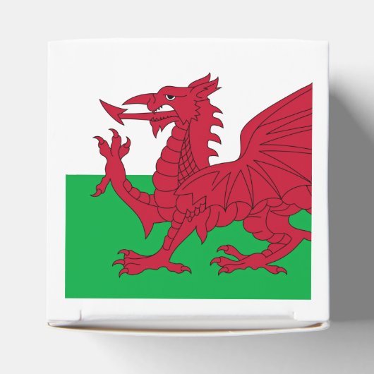 Welsh Dragon ~ Flag Wales Geschenkschachtel (Oben)