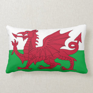 Welsh Dragon ~ Flag Wales Lendenkissen