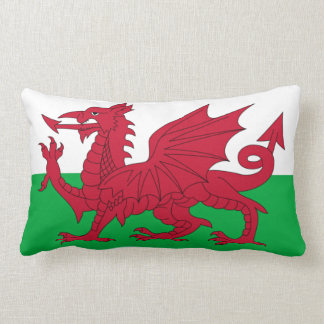 Welsh Dragon ~ Flag Wales Lendenkissen