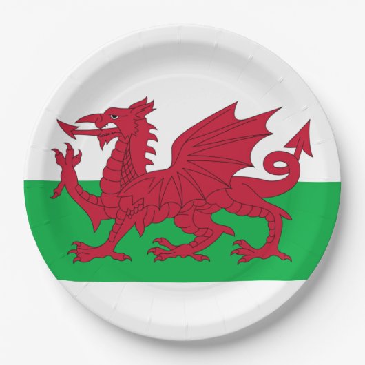 Welsh Dragon ~ Flag Wales Paper Tellers Pappteller (Vorderseite)