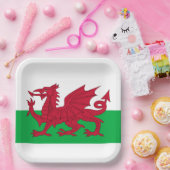Welsh Dragon ~ Flag Wales Pappteller (Party)