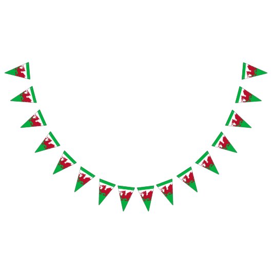 Welsh Dragon ~ Flag Wales Wimpelkette (Alle)