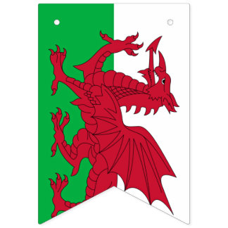 Welsh Dragon ~ Flag Wales Wimpelkette