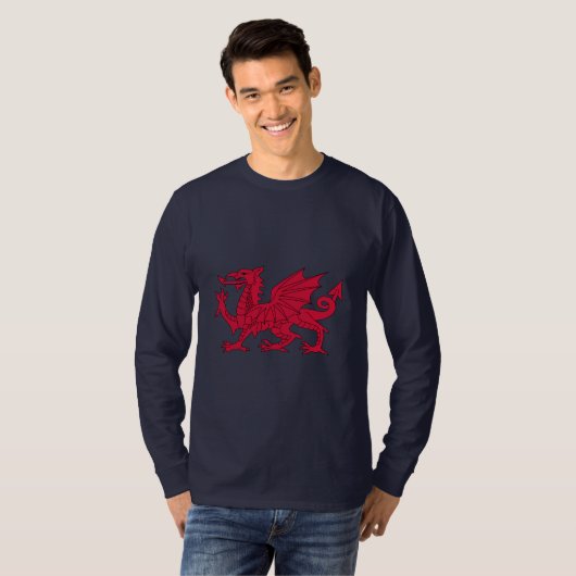 Welsh Dragon Hoodie T-Shirt (Vorne ganz)