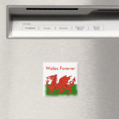 Welsh Dragon Magnet (In Situ (Geschirrspüler))