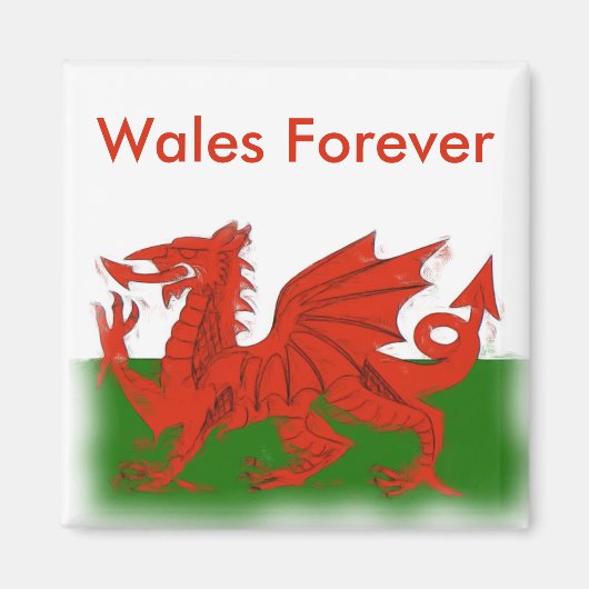 Welsh Dragon Magnet (Vorne)