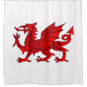 Welsh Dragon mit Kegeleffekt Duschvorhang (Vorderseite)