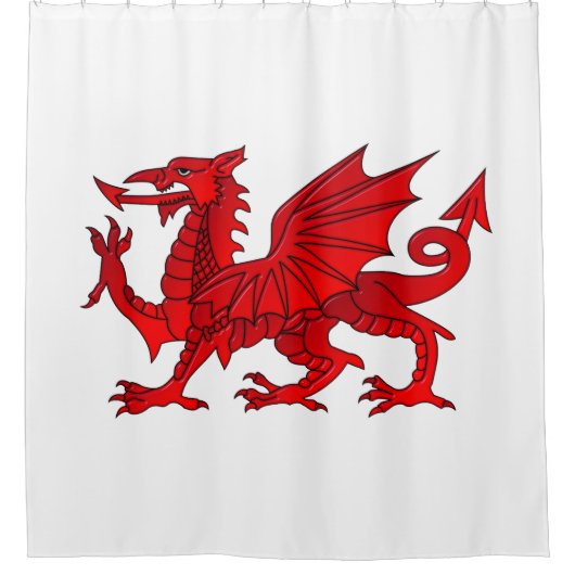 Welsh Dragon mit Kegeleffekt Duschvorhang (Vorderseite)