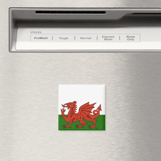Welsh Flag Magnet (In Situ (Geschirrspüler))