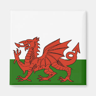 Welsh Flag Magnet