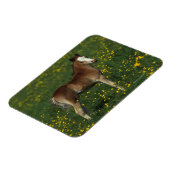 Welsh Foal Magnet (Linke Seite)