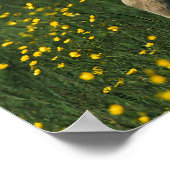 Welsh Foal Poster (Ecke)