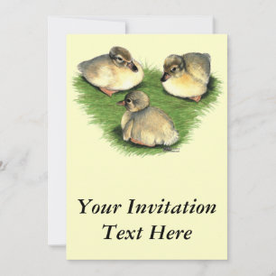 Welsh Harlequin Ducklings Einladung
