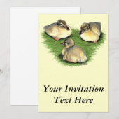 Welsh Harlequin Ducklings Einladung (Vorne/Hinten)