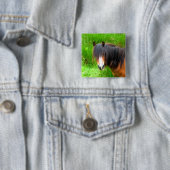 WELSH MOUNTAIN PONY BUTTON (Beispiel)