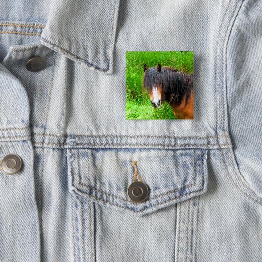 WELSH MOUNTAIN PONY BUTTON (Beispiel)