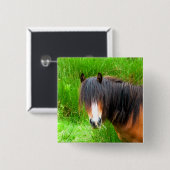 WELSH MOUNTAIN PONY BUTTON (Vorne & Hinten)
