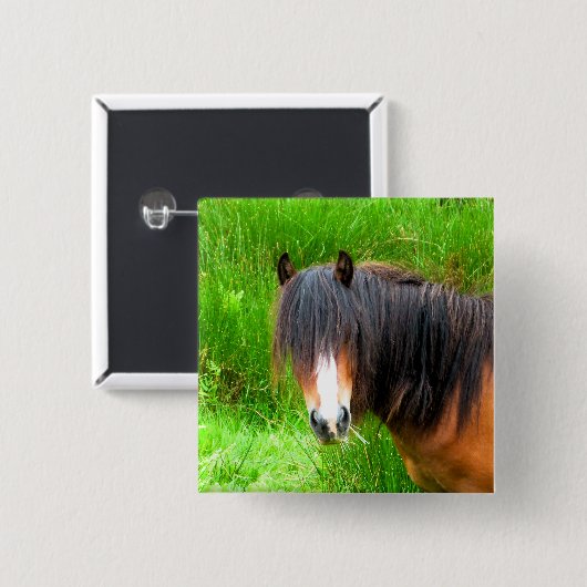 WELSH MOUNTAIN PONY BUTTON (Vorne & Hinten)