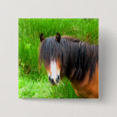 WELSH MOUNTAIN PONY BUTTON (Vorderseite)