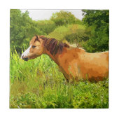 WELSH MOUNTAIN PONY FLIESE (Vorderseite)