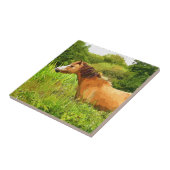 WELSH MOUNTAIN PONY FLIESE (Seite)