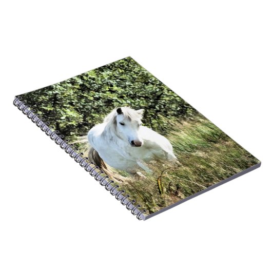 WELSH MOUNTAIN PONY NOTIZBLOCK (Rechte Seite)