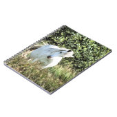 WELSH MOUNTAIN PONY NOTIZBLOCK (Linke Seite)