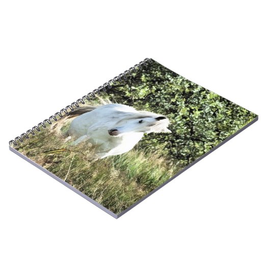 WELSH MOUNTAIN PONY NOTIZBLOCK (Linke Seite)