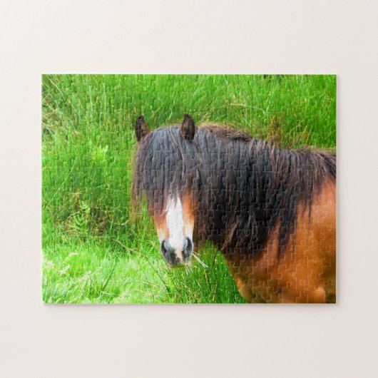 WELSH MOUNTAIN PONY PUZZLE (Horizontal)