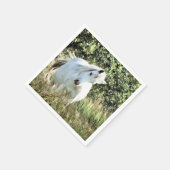 WELSH MOUNTAIN PONY SERVIETTE (Ecke)