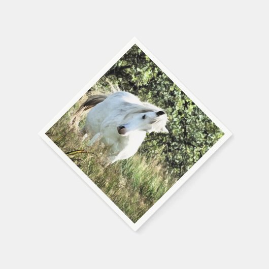 WELSH MOUNTAIN PONY SERVIETTE (Ecke)