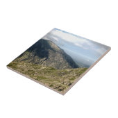 WELSH MOUNTAINS FLIESE (Seite)