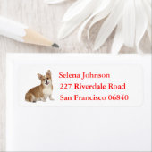 Welsh Pembroke Corgi Puppy Dog (Insitu)