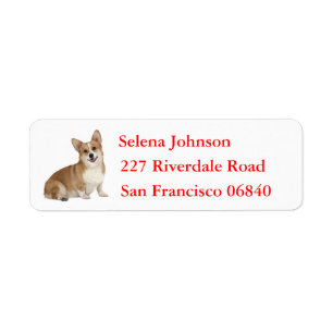 Welsh Pembroke Corgi Welpe Hund