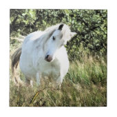WELSH PONY FLIESE (Vorderseite)