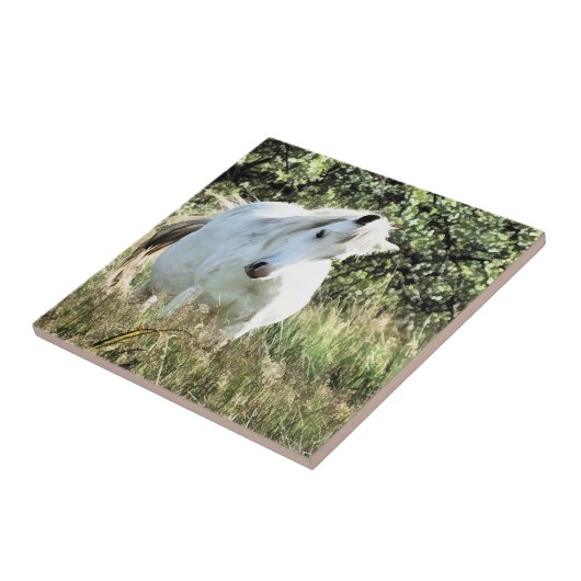 WELSH PONY FLIESE (Seite)