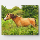 WELSH PONY FOTOPLATTE (Vorderseite)