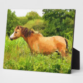 WELSH PONY FOTOPLATTE (Seite)