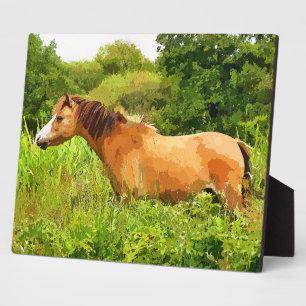WELSH PONY FOTOPLATTE