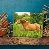 WELSH PONY FOTOPLATTE (Seite)