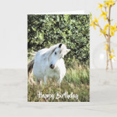 WELSH PONY KARTE (Gelbe Blume)