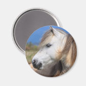 Welsh Pony Magnet (Vorderseite/Rückseite)
