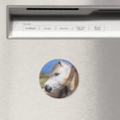Welsh Pony Magnet (In Situ (Geschirrspüler))
