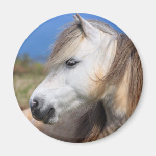 Welsh Pony Magnet