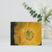 Welsh Poppy Macro Postkarte (Stehend Vorderseite)
