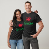 Welsh Pride Wales Flag T-Shirt (Unisex)