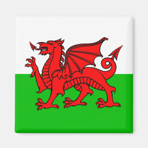 Welsh Red Dragon Wales Flag Magnet