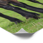 Welsh Section D Mare and Foal Stehend Poster (Ecke)