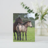Welsh Section D Mare and Foal Stehend Postkarte (Stehend Vorderseite)